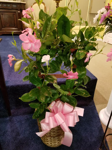 Florist «House of Flowers», reviews and photos, 1728 W Main St #2, Dothan, AL 36301, USA