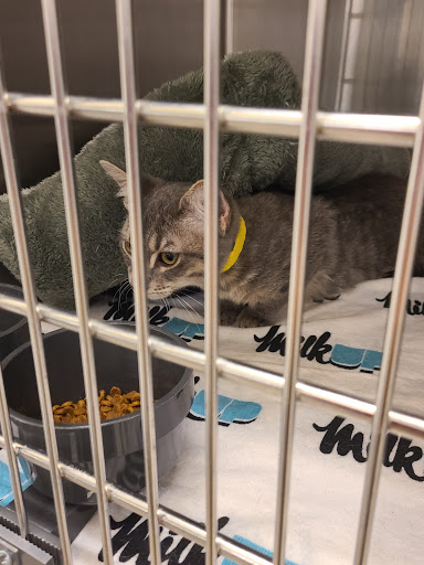 Pet Supply Store «PetSmart», reviews and photos, 4550 W Lake Mary Blvd, Lake Mary, FL 32746, USA