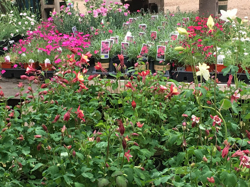 Plant Nursery «Sturtz & Copeland Florist & Greenhouses», reviews and photos, 2851 Valmont Rd, Boulder, CO 80301, USA