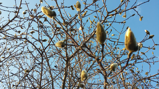 Stadium «Navy-Marine Corps Memorial Stadium», reviews and photos, 550 Taylor Ave, Annapolis, MD 21401, USA