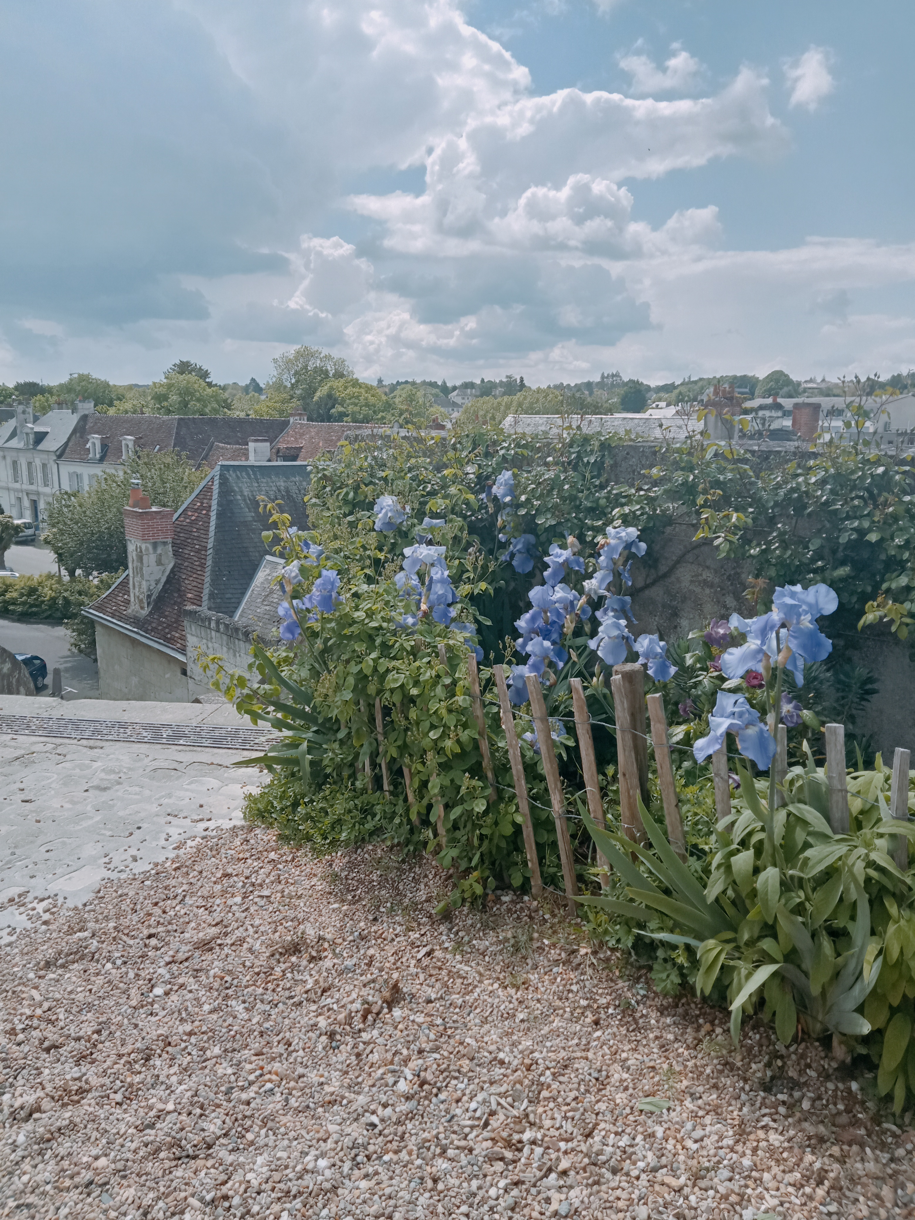 Photo n° 1 de l'avis de Marie.a fait le 19/05/2023 à 08:10