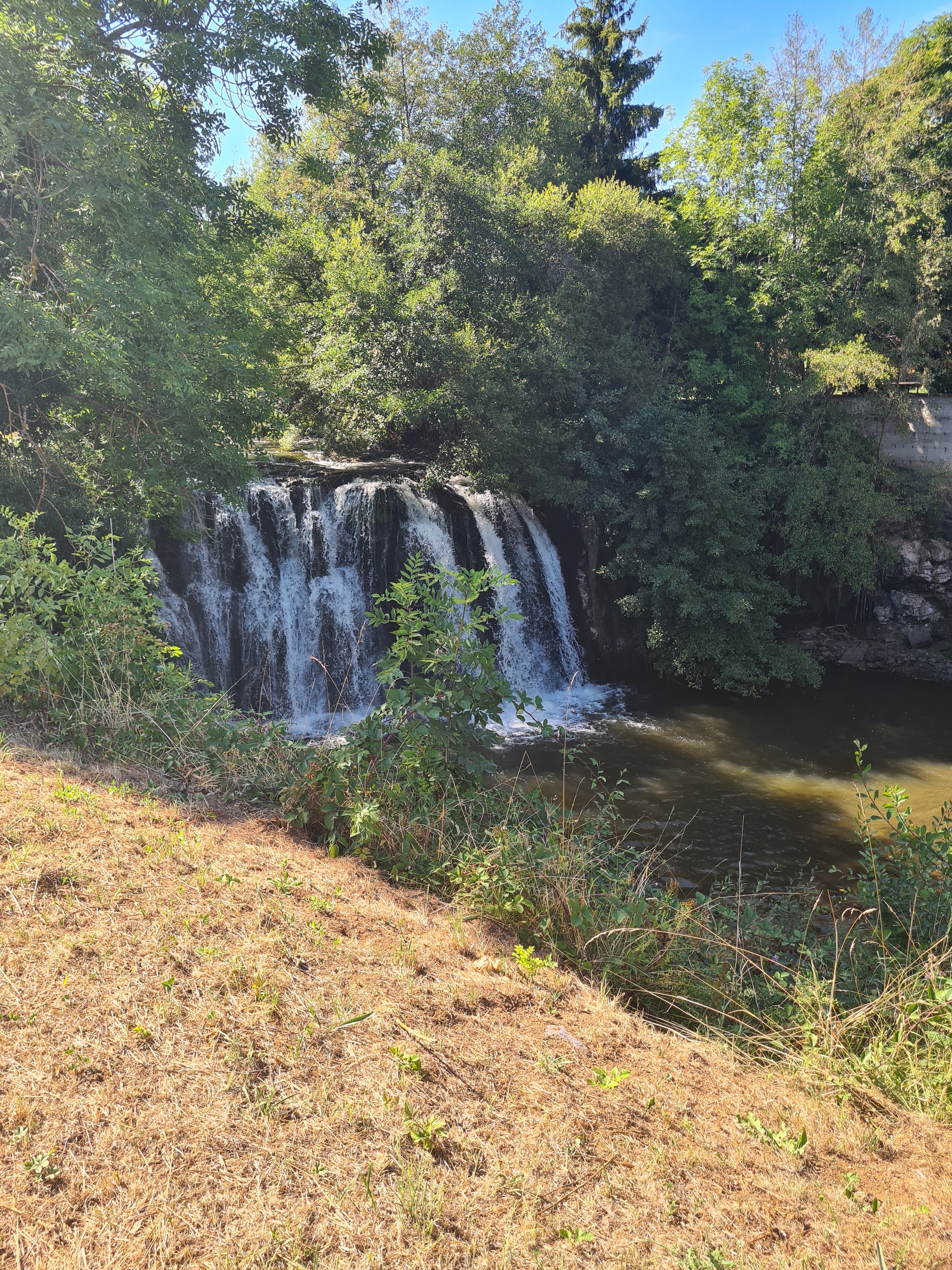 Photo n° 1 de l'avis de Lorraine. fait le 20/08/2022 à 15:51