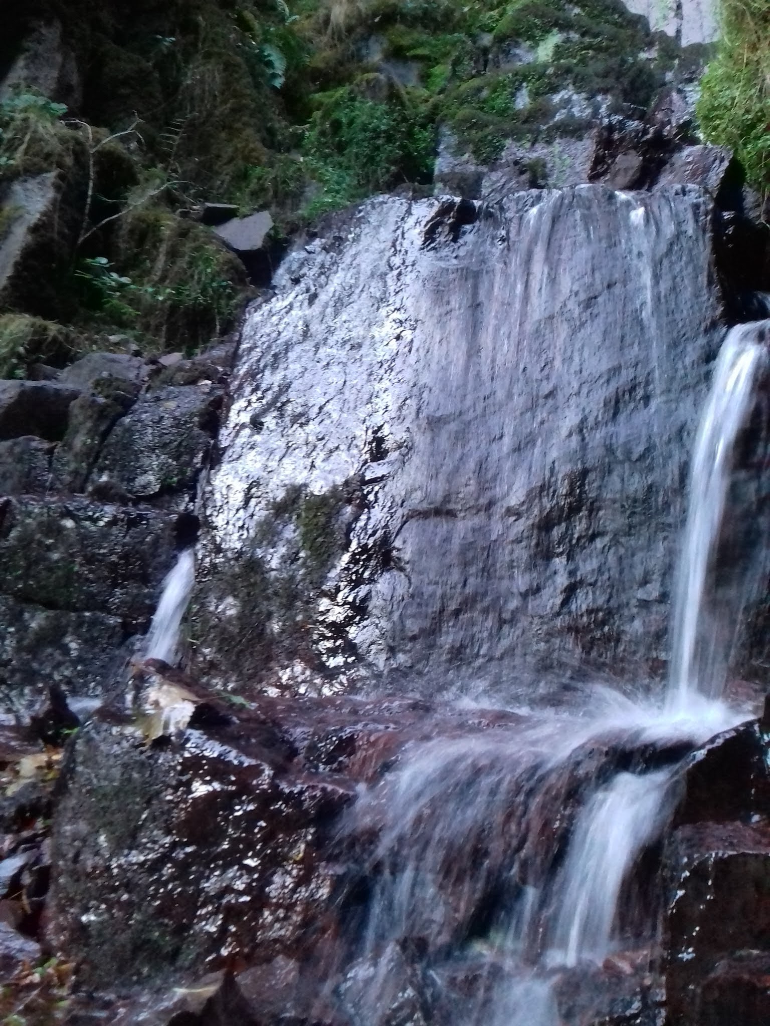 Photo n° 2 de l'avis de Claudio. fait le 15/01/2019 à 22:16