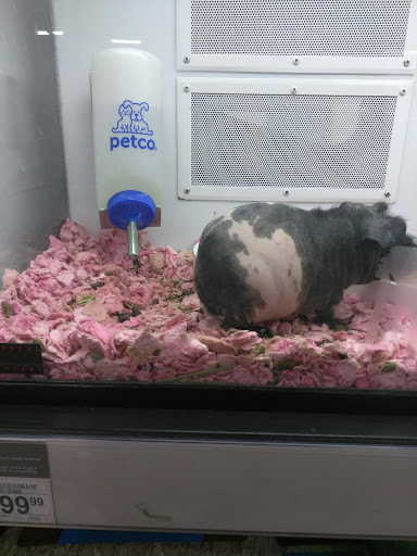 Pet Supply Store «Petco Animal Supplies», reviews and photos, 520 Woodside Rd, Redwood City, CA 94061, USA