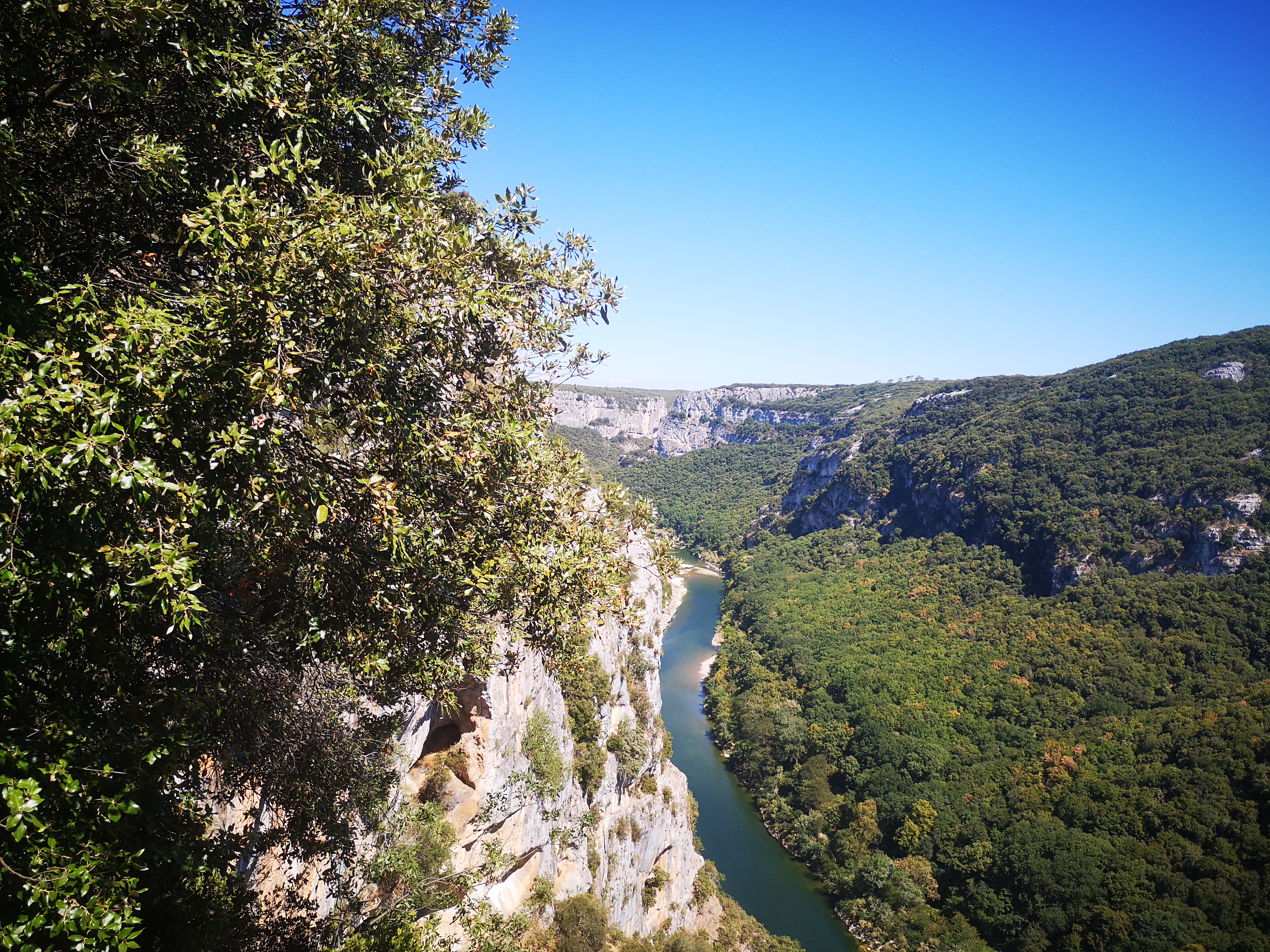 Photo n° 4 de l'avis de Pape.u fait le 27/07/2022 à 20:42