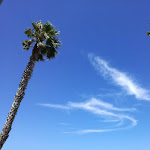 Photo n°1 de l'avis de sergio.a fait le 26/11/2018 à 17:41 sur le  Skafè Baguetteria à Otranto