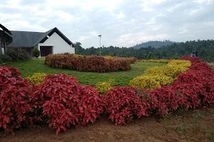 Nandanam Gardens image