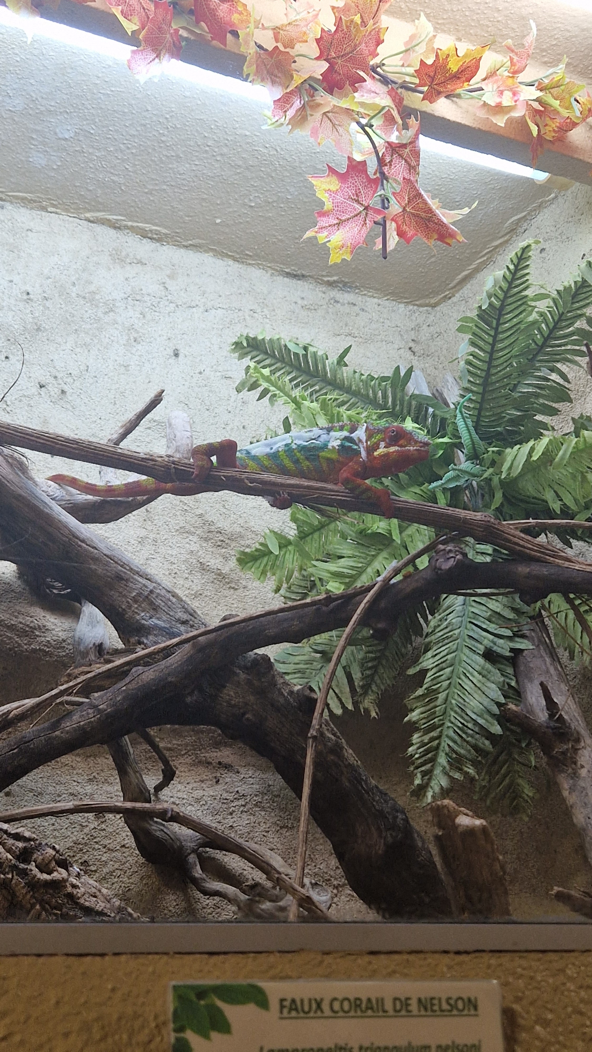 Photo n° 3 de l'avis de Dominique.r fait le 23/05/2023 à 15:21