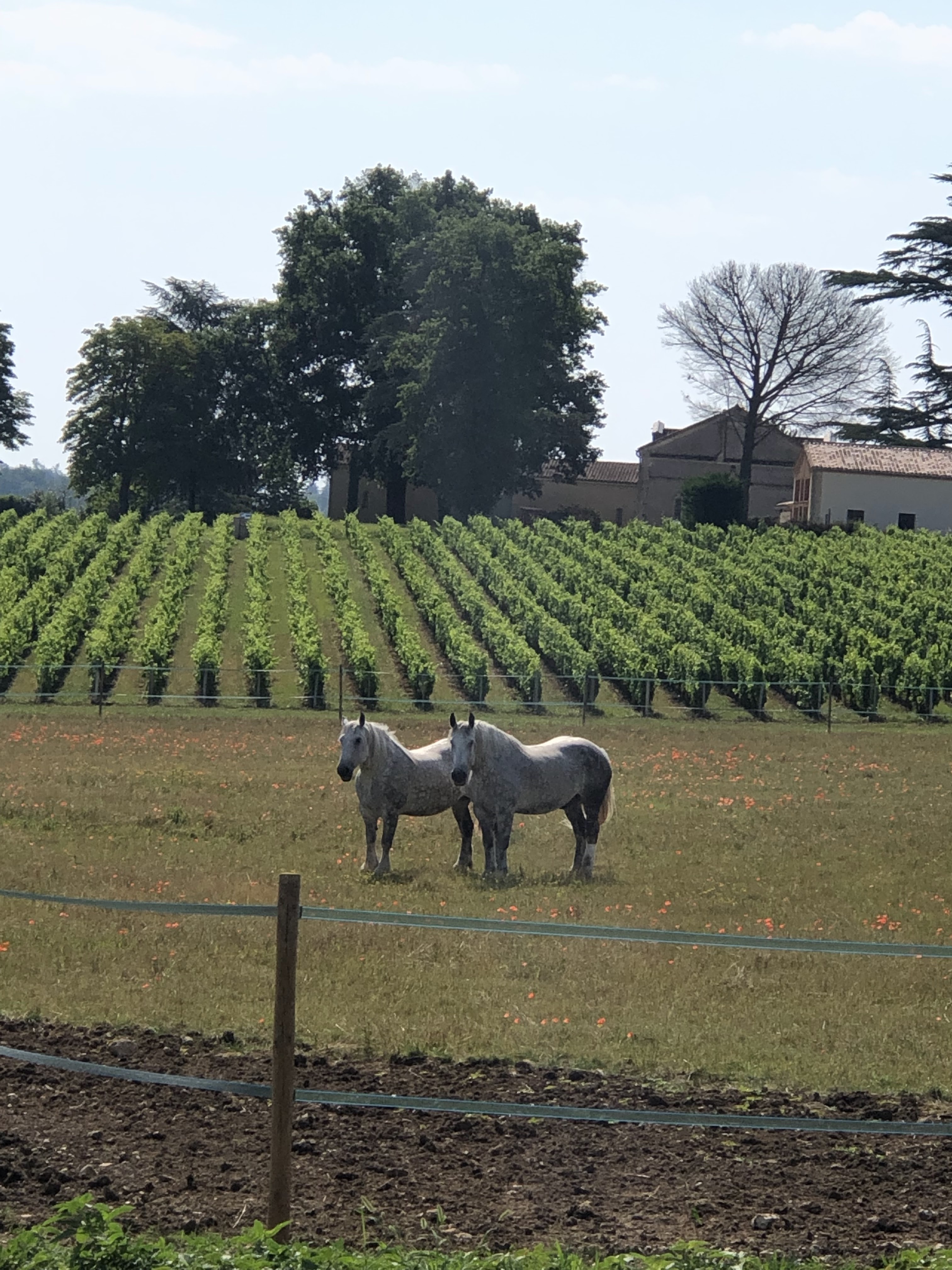 Photo n° 1 de l'avis de Alessandra.e fait le 09/07/2019 à 10:26