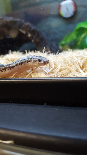 Pet Supply Store «Petco Animal Supplies», reviews and photos, 35860 Chester Rd, Avon, OH 44011, USA