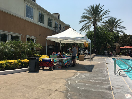 Homecoming at Terra Vista image