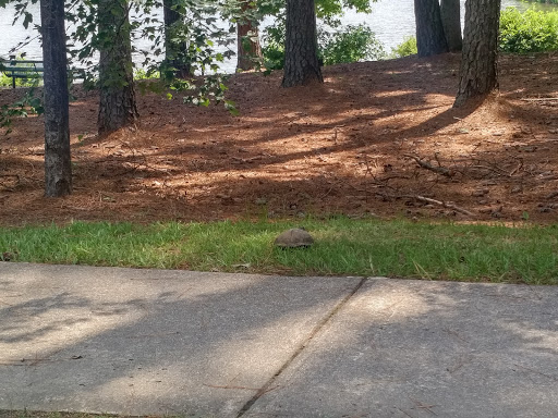 Amphitheater «Koka Booth Amphitheatre», reviews and photos, 8003 Regency Pkwy, Cary, NC 27511, USA