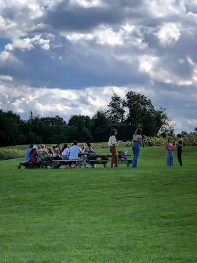 Winery «Sheldrake Point Winery», reviews and photos, 7448 County Rd 153, Ovid, NY 14521, USA