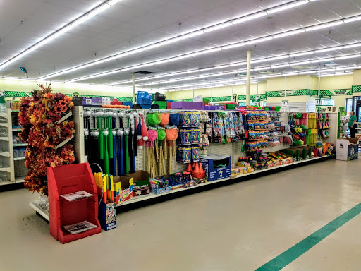 Dollar Store «Dollar Tree», reviews and photos, 117 Ballston Ave, Saratoga Springs, NY 12866, USA