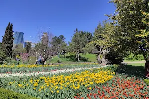 Nezahat Gökyiğit Botanical Garden image