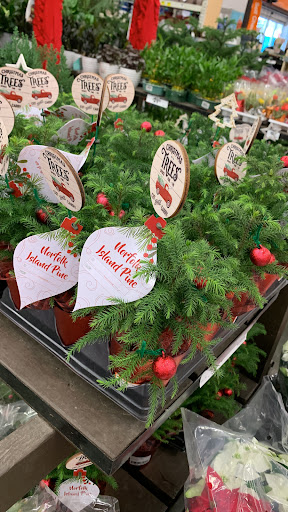 Home Improvement Store «The Home Depot», reviews and photos, 99 State Route 17 North, Lodi, NJ 07644, USA