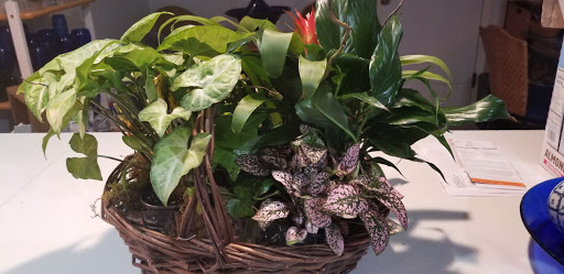 Florist «Adrian Durban Florist», reviews and photos, 3401 Clifton Ave, Cincinnati, OH 45220, USA