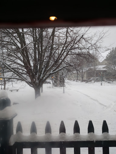 Coffee Shop «Starbucks», reviews and photos, 49 Main St, Freeport, ME 04032, USA