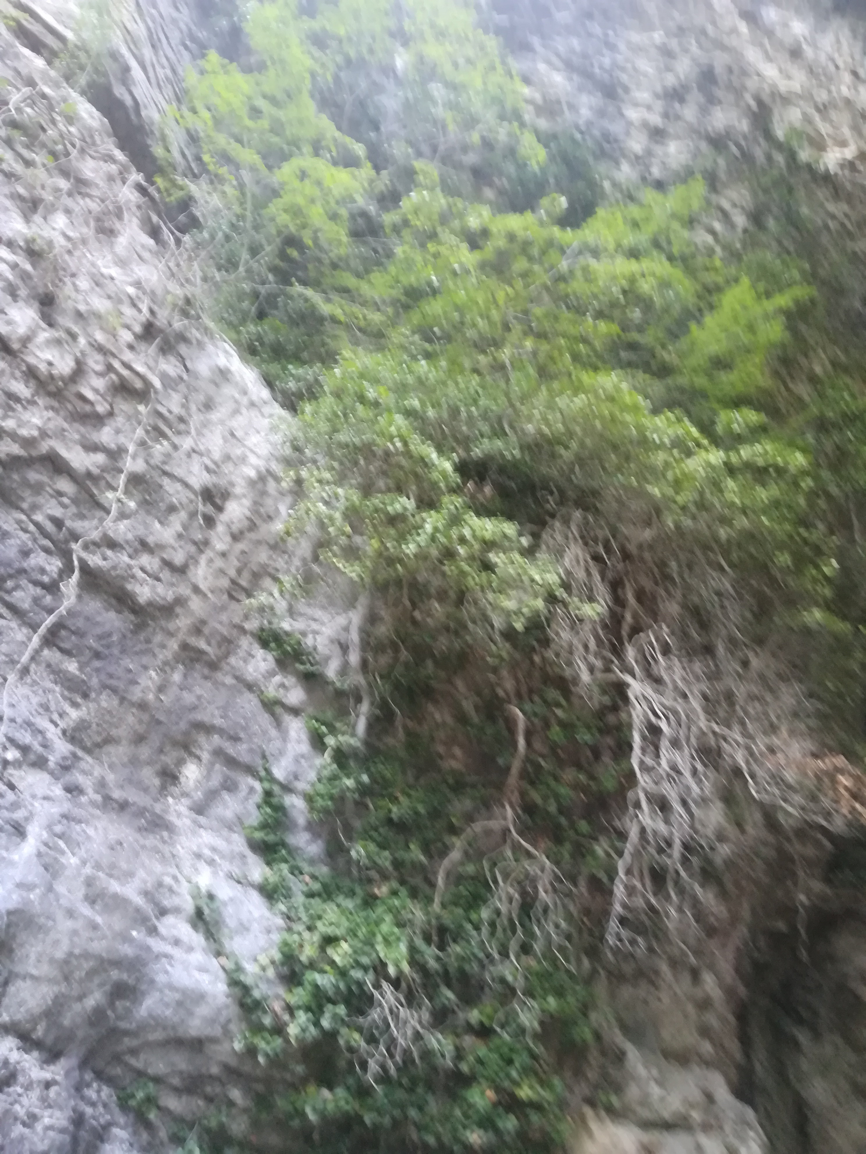 Photo n° 2 de l'avis de Dominique.e fait le 09/08/2018 à 07:24