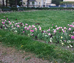 Brunnen am Shakespeareplatz photo