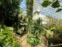 Foellinger-Freimann Botanical Conservatory - Photo 2 - Car repair in Fort Wayne, IN, Fort Wayne