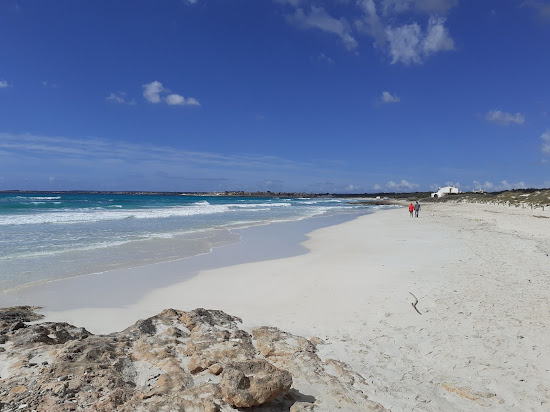 Ses Covetes