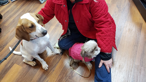 Pet Supply Store «Pet Valu», reviews and photos, 3563 Washington Rd, Canonsburg, PA 15317, USA