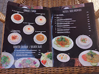 Restaurant de döner kebab Köfte Diyarı à Mannheim (le menu)