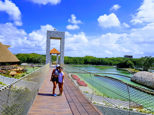 Glass bridge Cancun