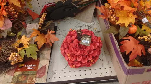 Discount Store «Big Lots», reviews and photos, 8950 MN-7, Minneapolis, MN 55426, USA