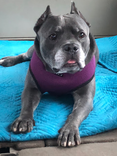 123 Jonesboro Rd, McDonough, GA 30253, USA