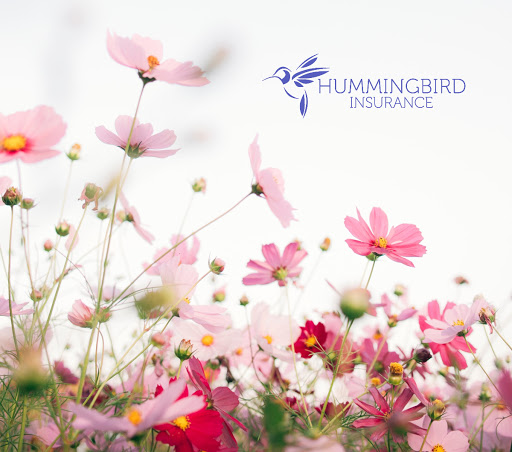 Insurance Agency «Hummingbird Insurance ♡», reviews and photos