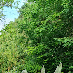 Photo n°6 de l'avis de H... fait le 28/06/2022 à 12:27 sur le  Restaurant im Koigarten Burg à Burg