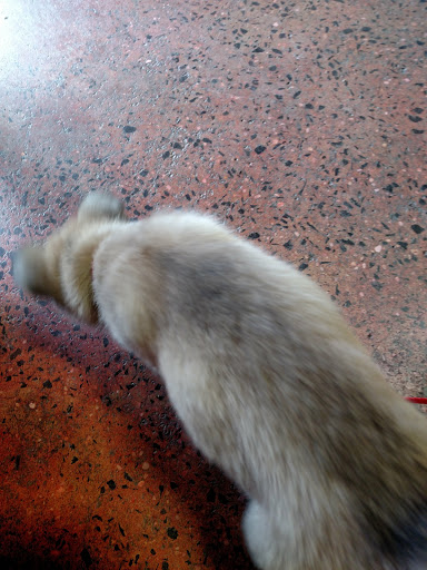 Pet Supply Store «One of the Family Pet Supply LLC», reviews and photos, 288 Lincoln Blvd, Middlesex, NJ 08846, USA