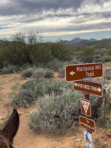 Horseback Riding Service «Spur Cross Stables», reviews and photos, 44029 N Spur Cross Rd, Cave Creek, AZ 85331, USA