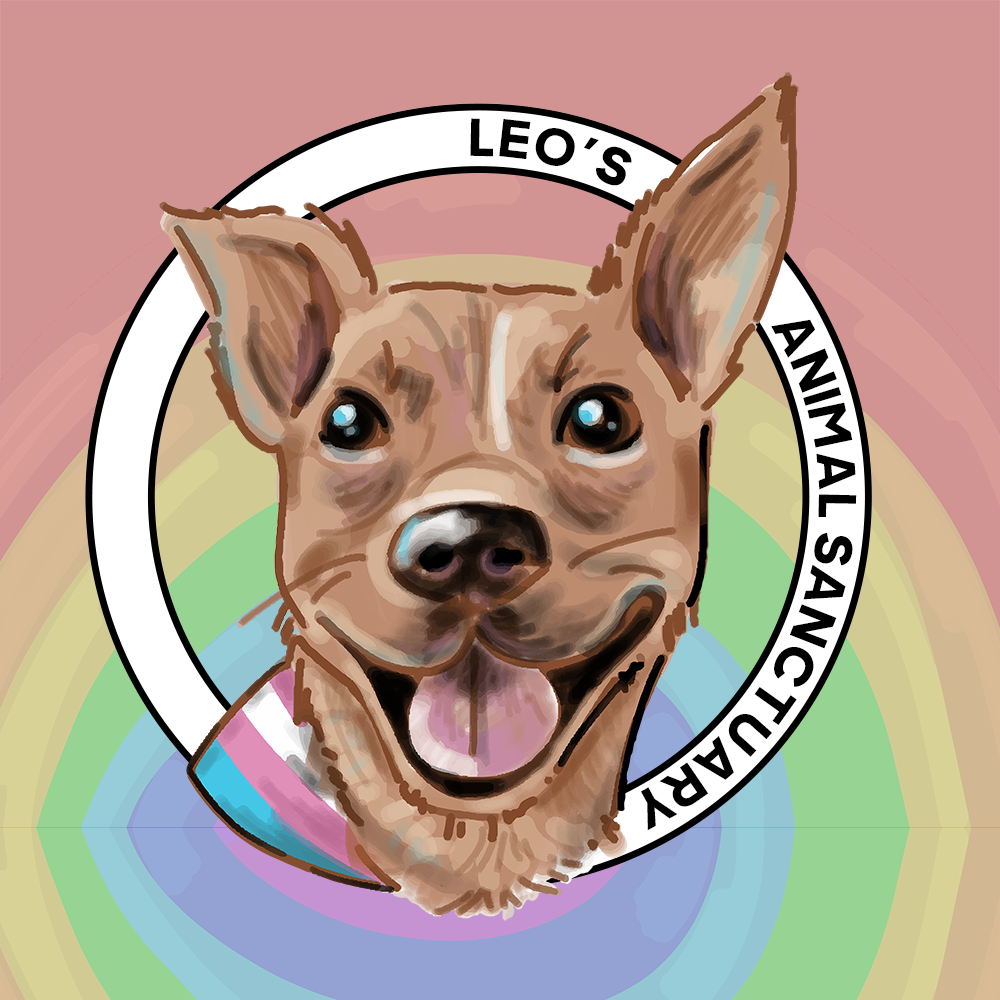 Leo's Animal Rescue