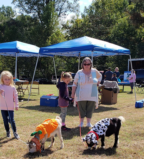 Pony Ride Service «Animals Unlimited LLC est 1996 travelling petting zoo/pony rides/travelling exotic animal programs .», reviews and photos, 16805 Mountain Rd, Montpelier, VA 23192, USA