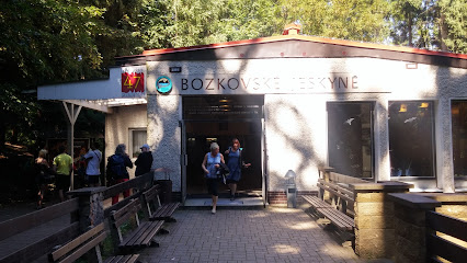 Les Grottes Dolomitiques De Bozkov