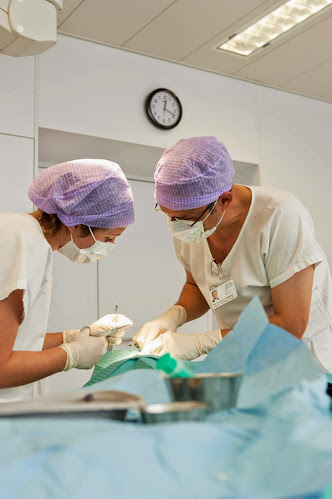 Universitätsklinik für Thoraxchirurgie, Inselspital Bern - Bern