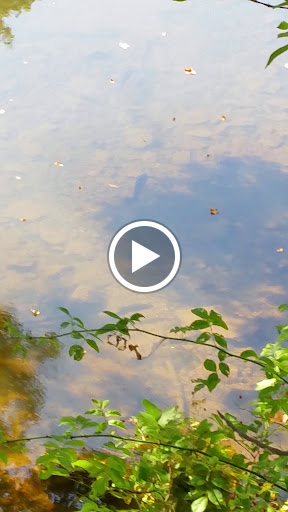 Liquor Store «Liquor Barn», reviews and photos, 1007 Old York Rd, Raritan, NJ 08869, USA