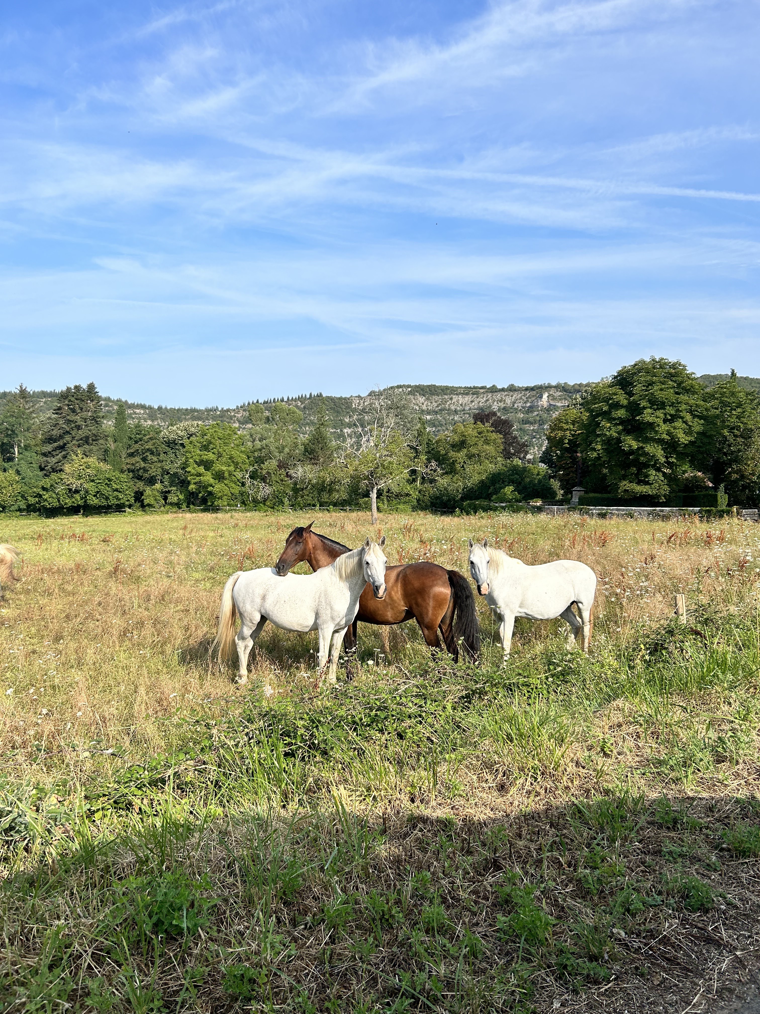 Photo n° 10 de l'avis de Beth.a fait le 12/09/2023 à 15:42