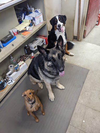 Used Auto Parts Store «Camaro Heaven / Drew Auto Parts», reviews and photos, 112 Clark Rd, Tilton, NH 03276, USA