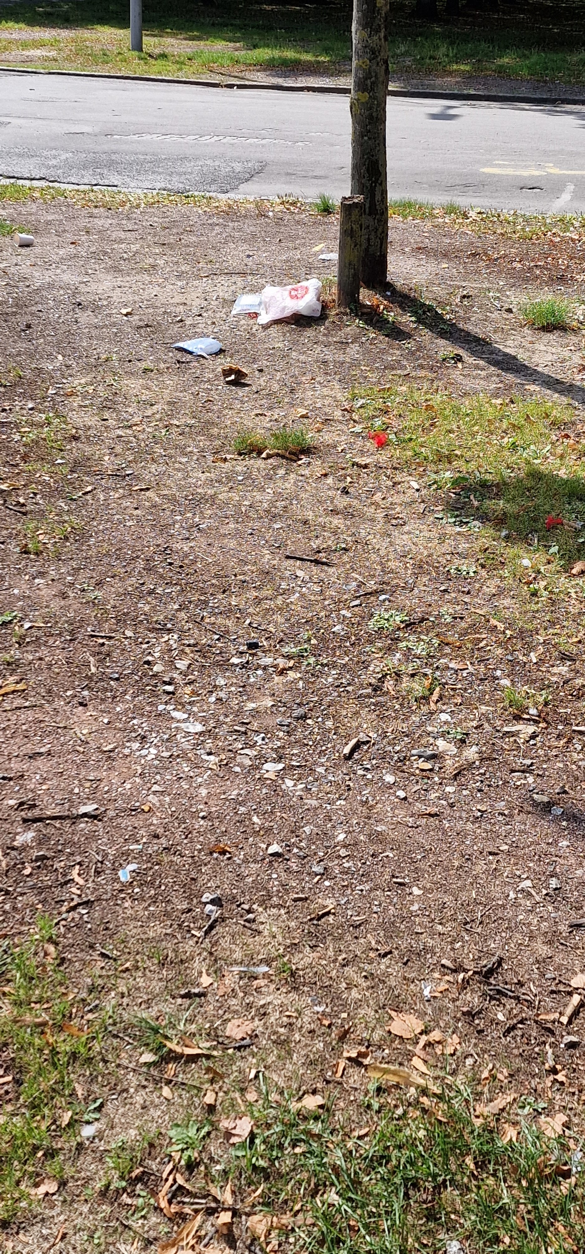 Photo n° 7 de l'avis de Dominique.A fait le 26/04/2019 à 16:27
