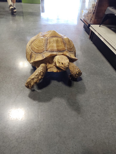 Pet Groomer «We Lov Pets», reviews and photos, 3853 Northpointe Dr, Zanesville, OH 43701, USA