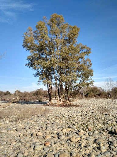 Nature Preserve «Effie Yeaw Nature Center», reviews and photos, 2850 San Lorenzo Way, Carmichael, CA 95608, USA