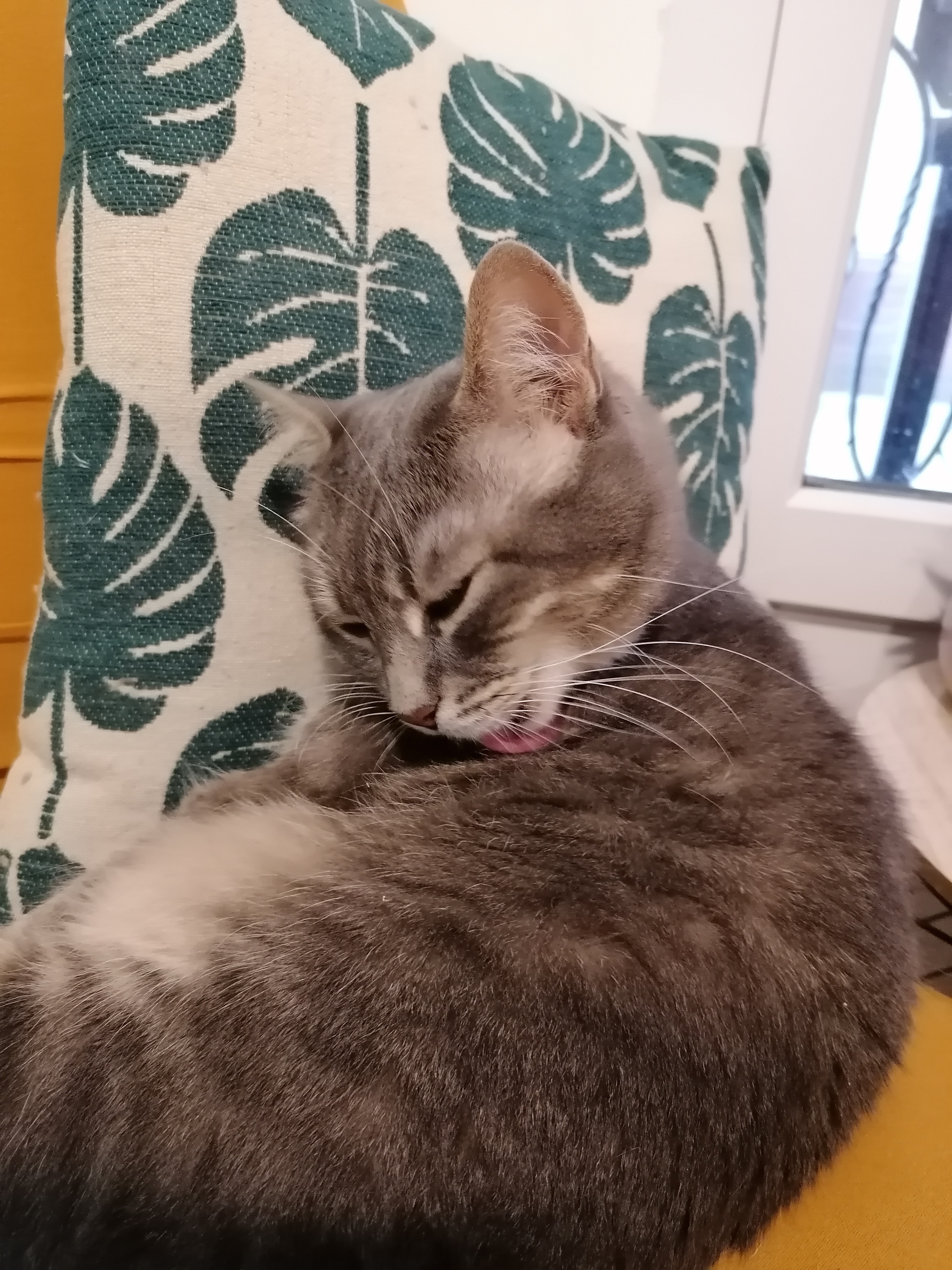Photo n° 2 de l'avis de Laure.a fait le 11/08/2021 à 23:41