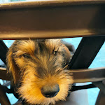 Photo n°2 de l'avis de Alessandro.o fait le 23/08/2021 à 11:09 sur le  Villa Socini à Siena