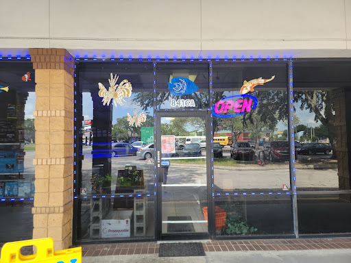 Tropical Fish Store «Coral Reef Aquariums», reviews and photos, 8416 N Armenia Ave, Tampa, FL 33604, USA
