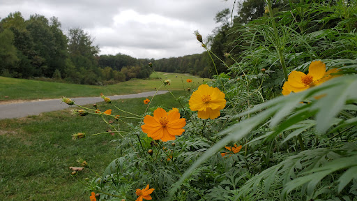 Golf Club «Compass Pointe Golf Courses», reviews and photos, 9010 Fort Smallwood Rd, Pasadena, MD 21122, USA