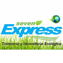 Tintoreria Lavanderia Ecologica Seven Express